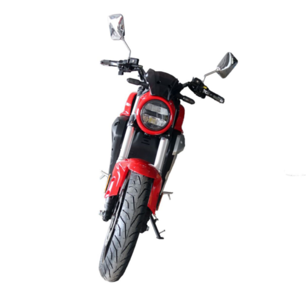 17 Inch  2000W 72V20AH 30AH EEC CE big tyres capacity long range racing wild off road electric mountain motorcycle scooter bikes - Image 3